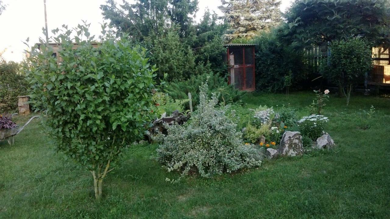 Barnabas Rusnak Ubytovanie V Sukromi Mucin Extérieur photo